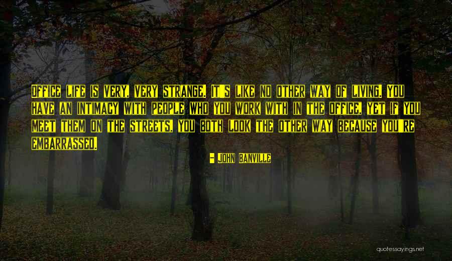 Life Is Very Strange Quotes By John Banville Life Is Very Strange Quotes By John Banville