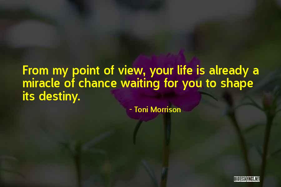 Life Is Waiting For You Quotes By Toni Morrison Life Is Waiting For You Quotes By Toni Morrison
