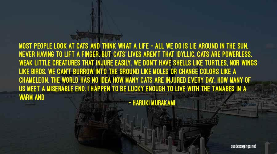 Life Isn't Easy Quotes By Haruki Murakami