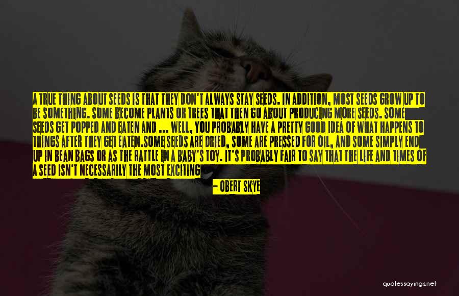 Life Isn't Fair But Quotes By Obert Skye Life Isn't Fair But Quotes By Obert Skye