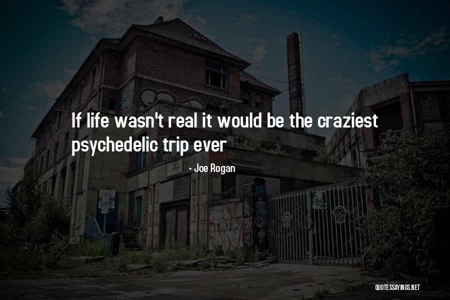 Life Joe Rogan Quotes By Joe Rogan
