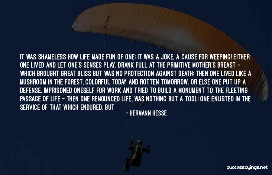 Life Joke Quotes By Hermann Hesse