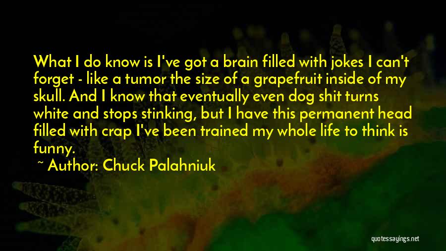 Life Jokes Quotes By Chuck Palahniuk