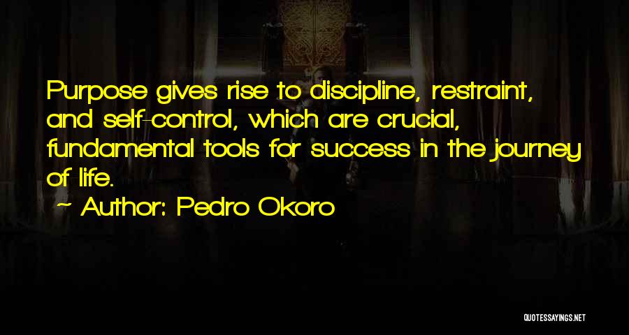 Life Journey Success Quotes By Pedro Okoro