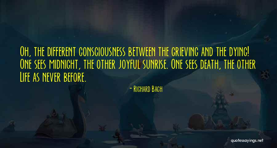 Life Joyful Quotes By Richard Bach Life Joyful Quotes By Richard Bach
