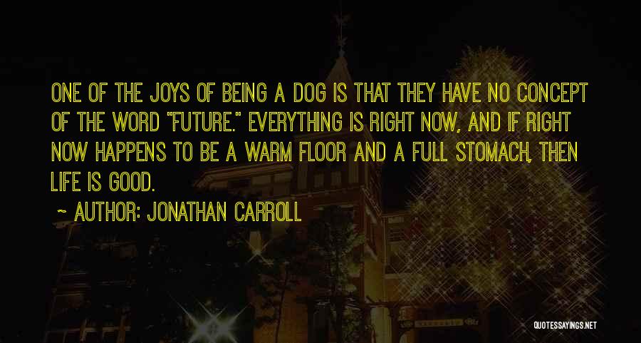 Life Joys Quotes By Jonathan Carroll