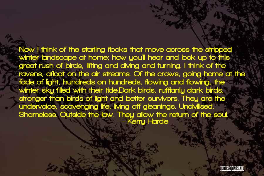 Life Landscape Quotes By Kerry Hardie Life Landscape Quotes By Kerry Hardie