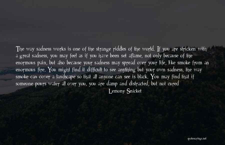 Life Landscape Quotes By Lemony Snicket Life Landscape Quotes By Lemony Snicket