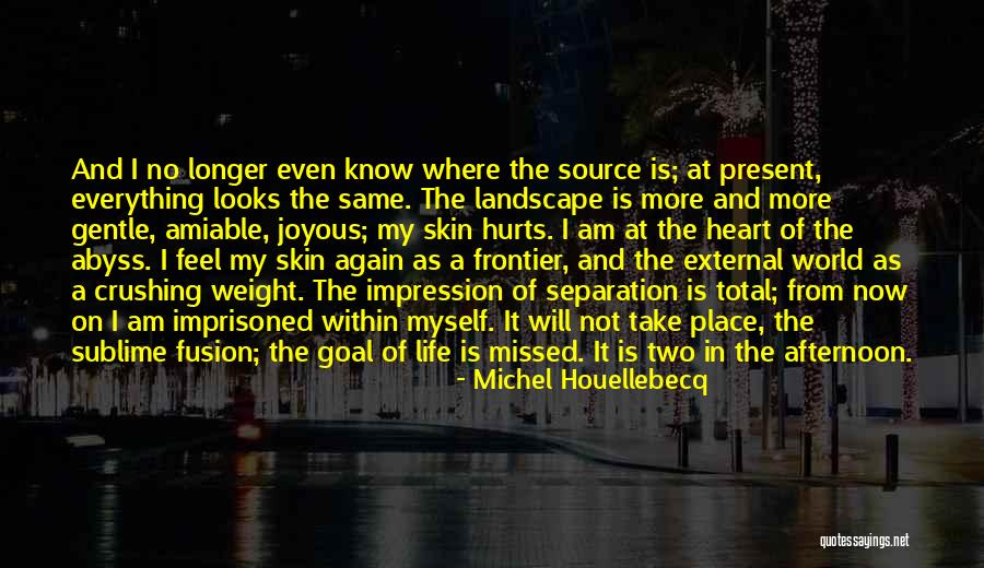 Life Landscape Quotes By Michel Houellebecq Life Landscape Quotes By Michel Houellebecq