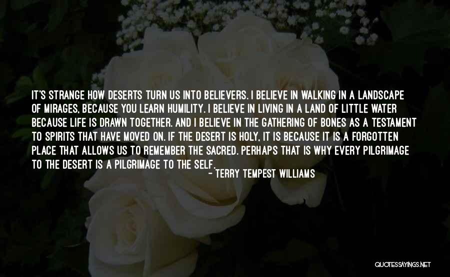 Life Landscape Quotes By Terry Tempest Williams Life Landscape Quotes By Terry Tempest Williams