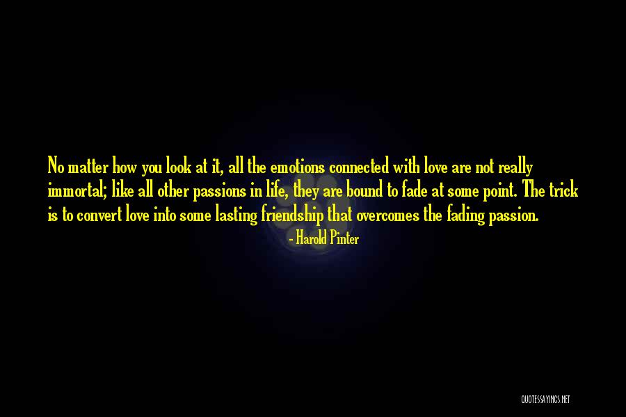 Life Lasting Love Quotes By Harold Pinter Life Lasting Love Quotes By Harold Pinter