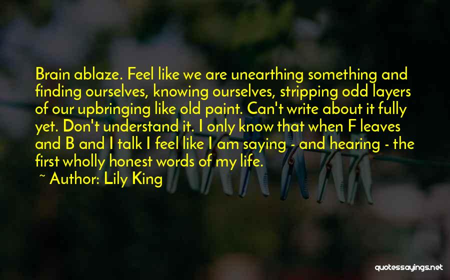 Life Layers Quotes By Lily King