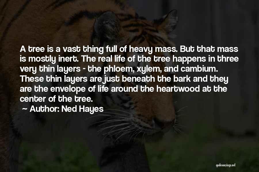 Life Layers Quotes By Ned Hayes