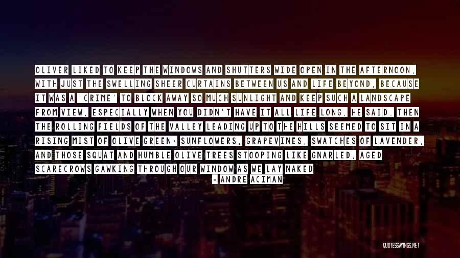 Life Leading Quotes By Andre Aciman Life Leading Quotes By Andre Aciman