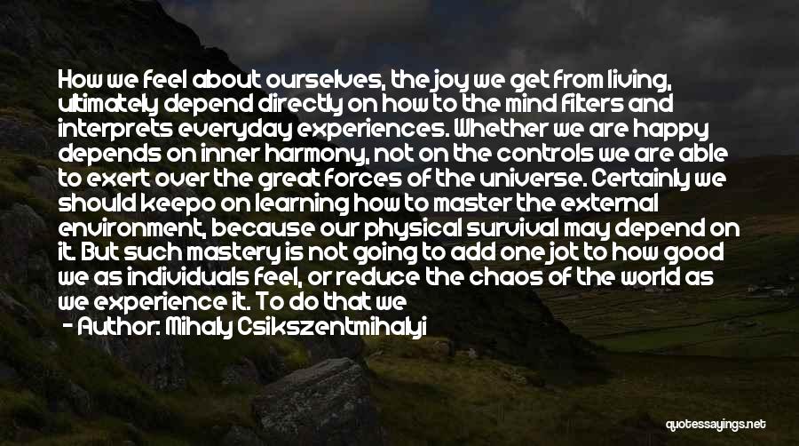 Life Learning Experiences Quotes By Mihaly Csikszentmihalyi