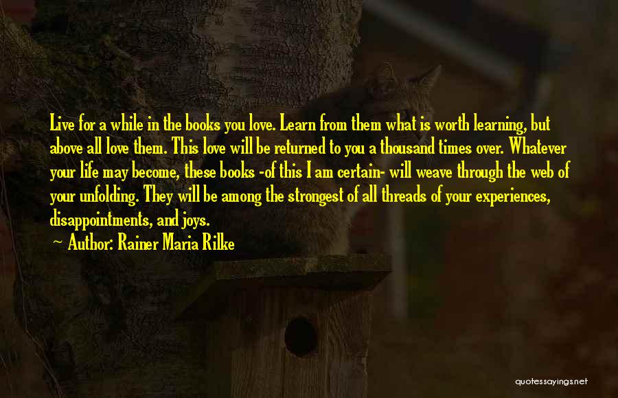 Life Learning Experiences Quotes By Rainer Maria Rilke