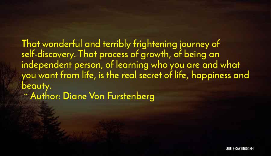 Life Learning Process Quotes By Diane Von Furstenberg