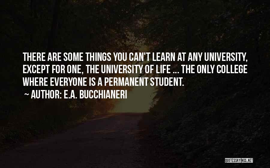 Life Learning Process Quotes By E.A. Bucchianeri