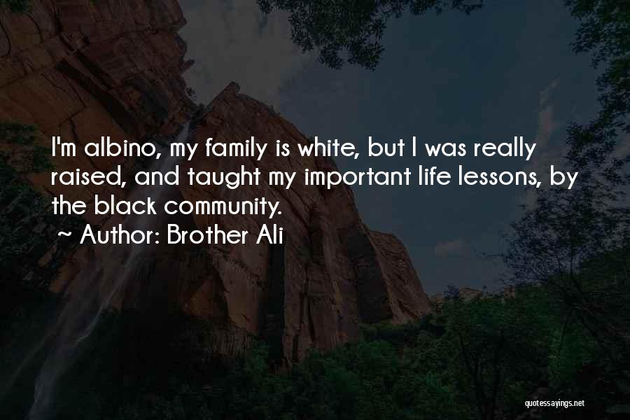 Life Lesson Family Quotes By Brother Ali