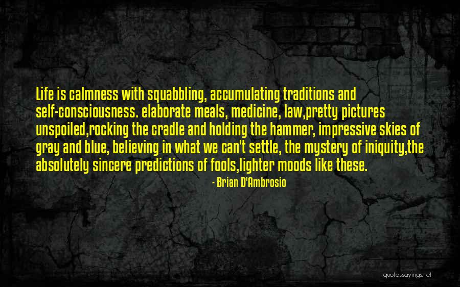 Life Lessons And Experience Quotes By Brian D'Ambrosio Life Lessons And Experience Quotes By Brian D'Ambrosio