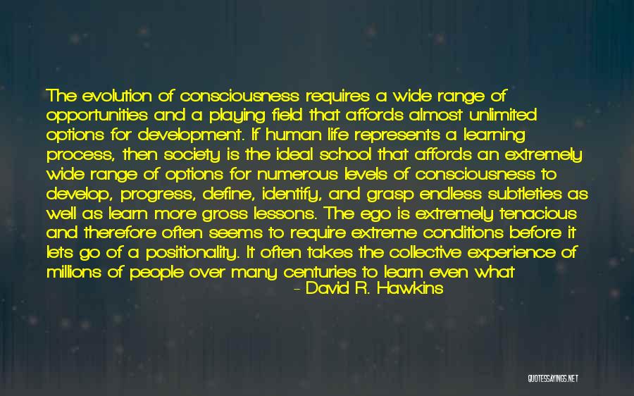 Life Lessons And Experience Quotes By David R. Hawkins