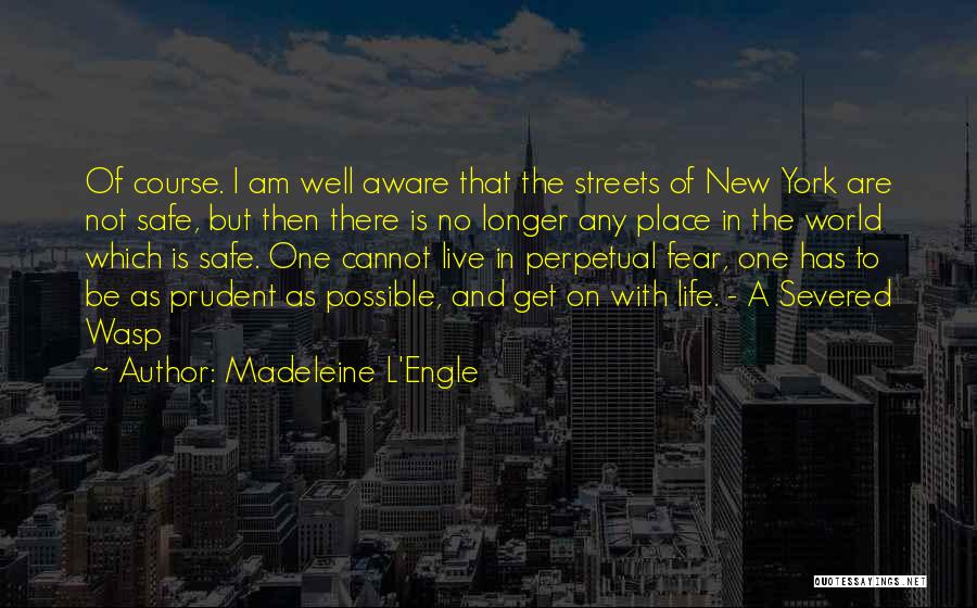 Life Lessons And Experience Quotes By Madeleine L'Engle