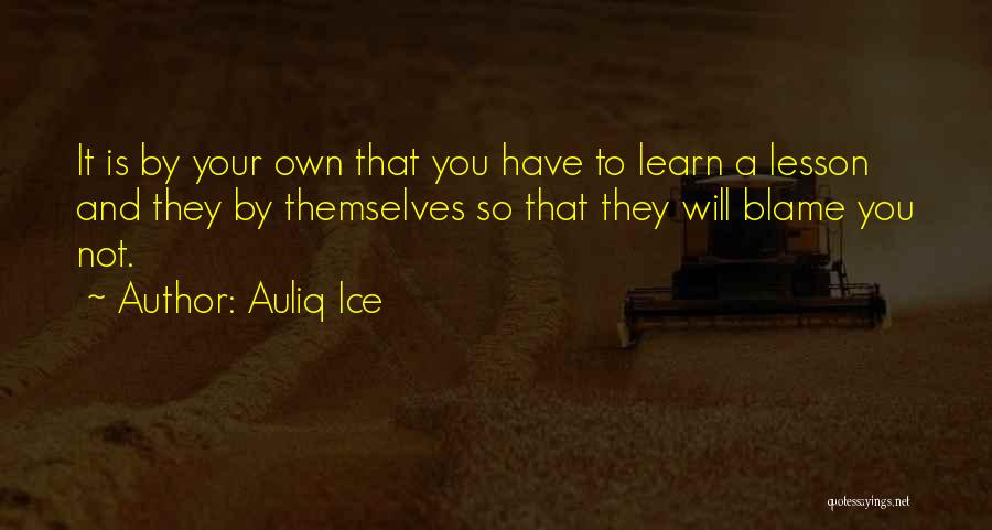 Life Lessons And Mistakes Quotes By Auliq Ice