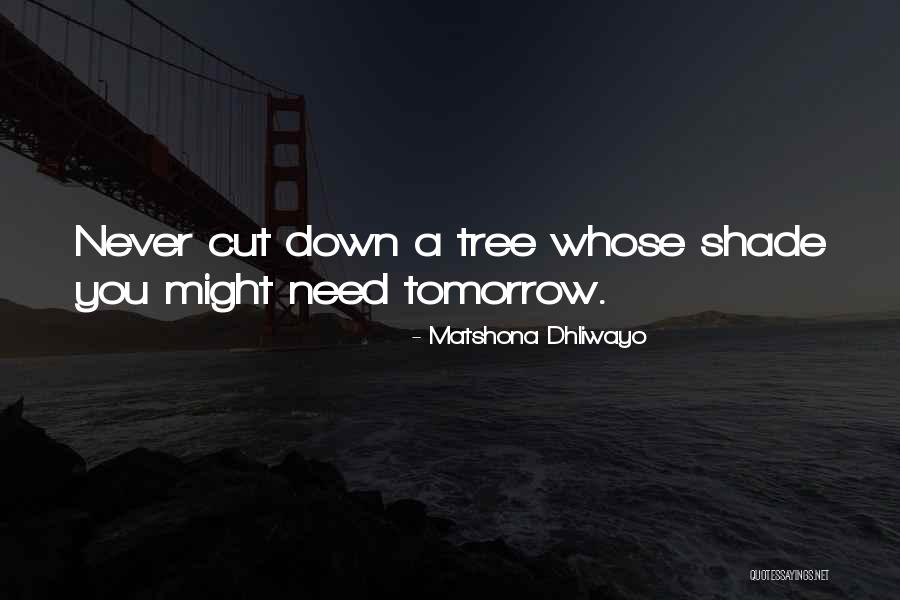 Life Lessons Quotations Quotes By Matshona Dhliwayo