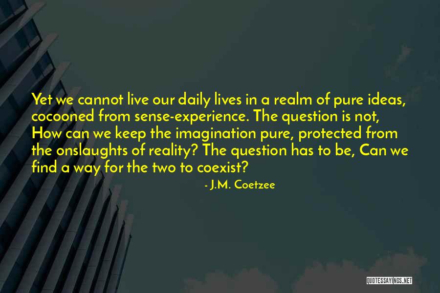 Life Lessoons Quotes By J.M. Coetzee Life Lessoons Quotes By J.M. Coetzee
