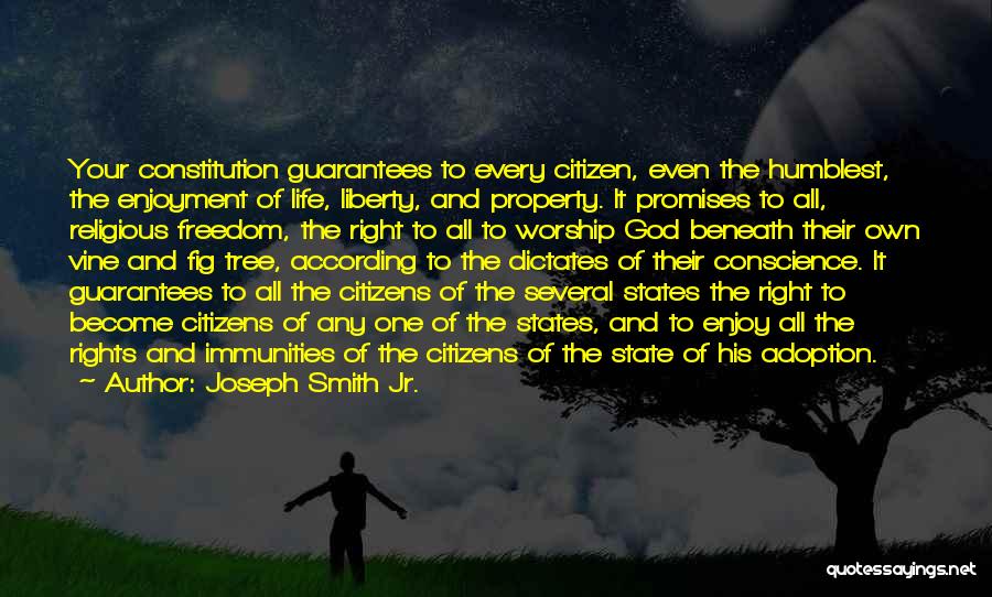 Life Liberty And Property Quotes By Joseph Smith Jr.