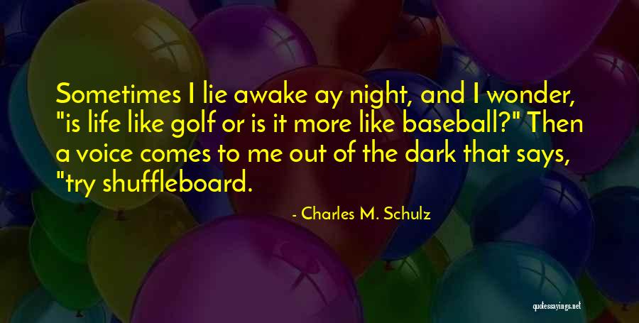 Life Lie Quotes By Charles M. Schulz