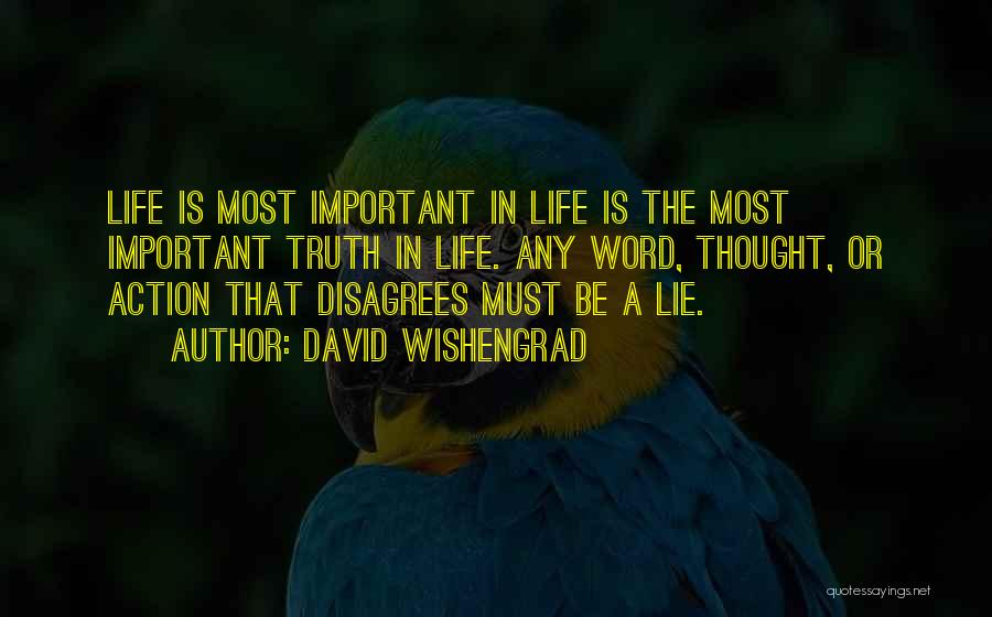 Life Lie Quotes By David Wishengrad