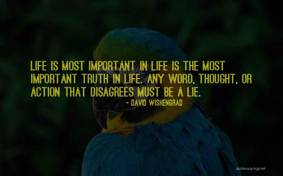 Life Lie Quotes By David Wishengrad