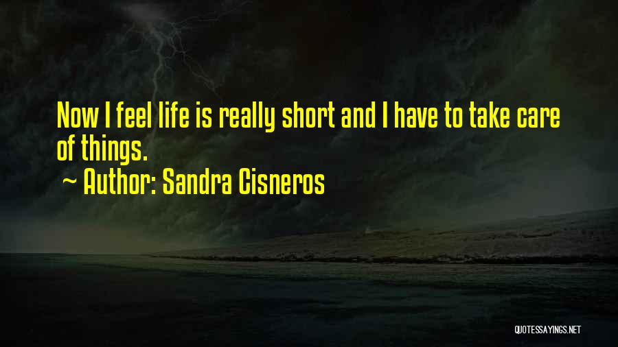 Life Life Is Short Quotes By Sandra Cisneros