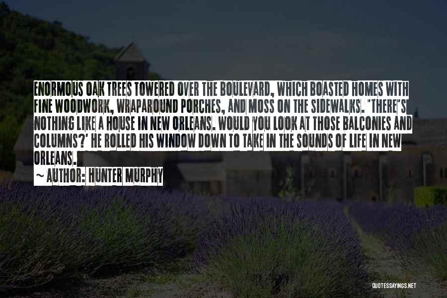 Life Like A River Quotes By Hunter Murphy