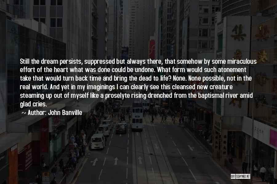 Life Like A River Quotes By John Banville