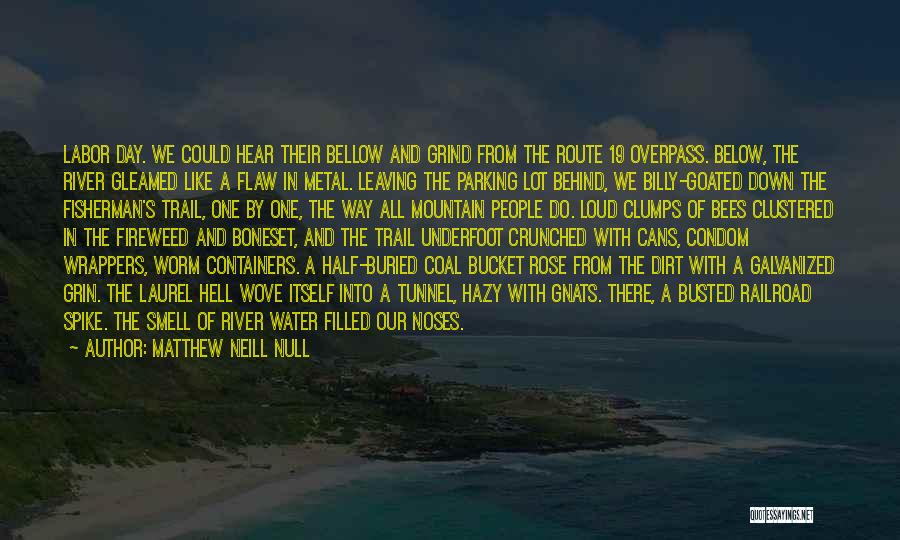 Life Like A River Quotes By Matthew Neill Null