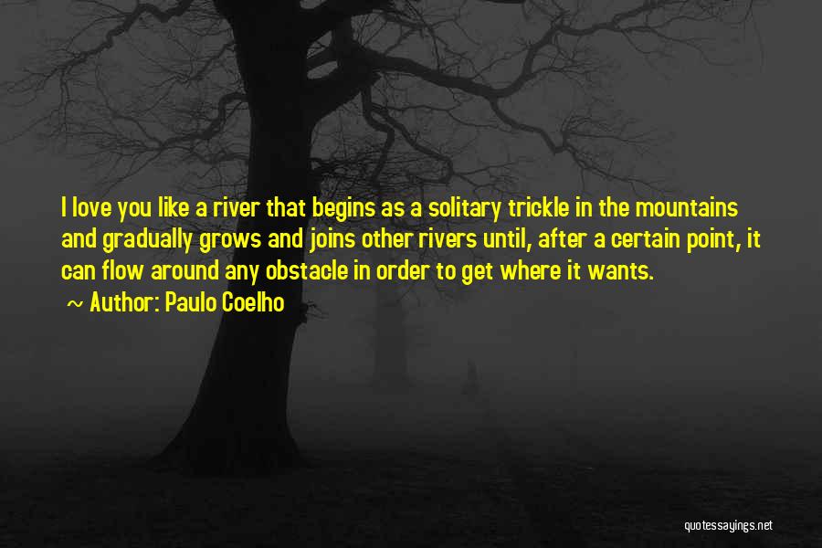 Life Like A River Quotes By Paulo Coelho