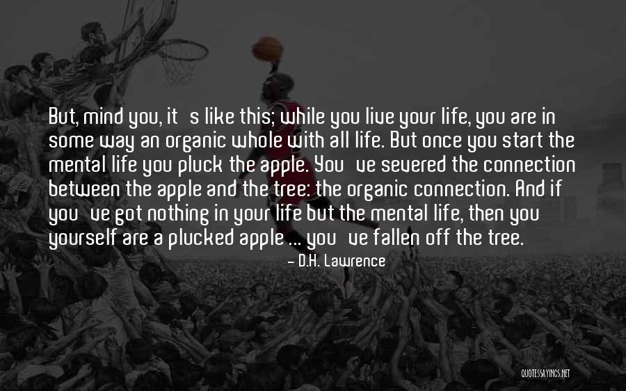 Life Like A Tree Quotes By D.H. Lawrence