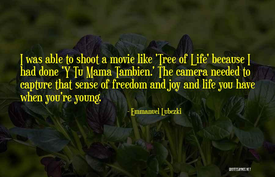 Life Like A Tree Quotes By Emmanuel Lubezki Life Like A Tree Quotes By Emmanuel Lubezki