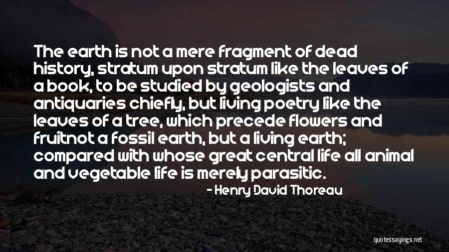 Life Like A Tree Quotes By Henry David Thoreau