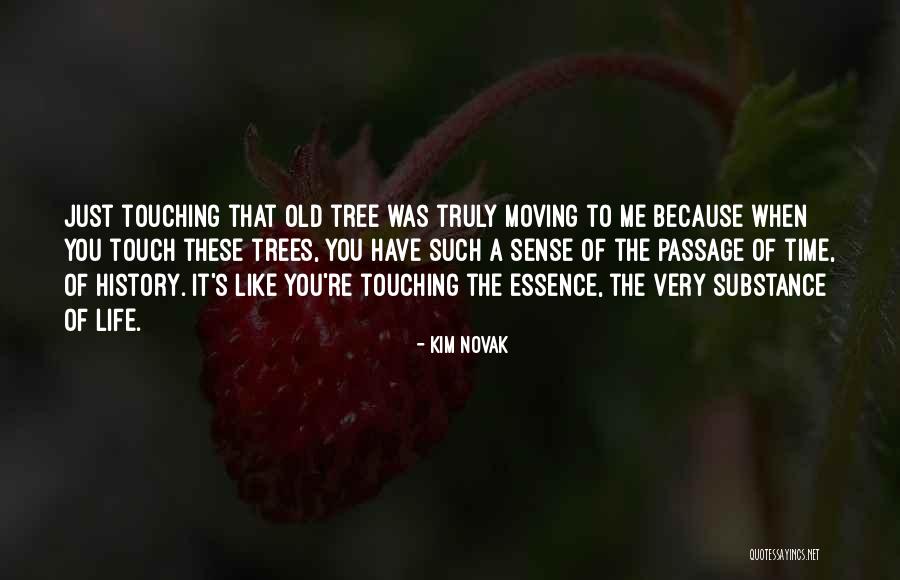 Life Like A Tree Quotes By Kim Novak