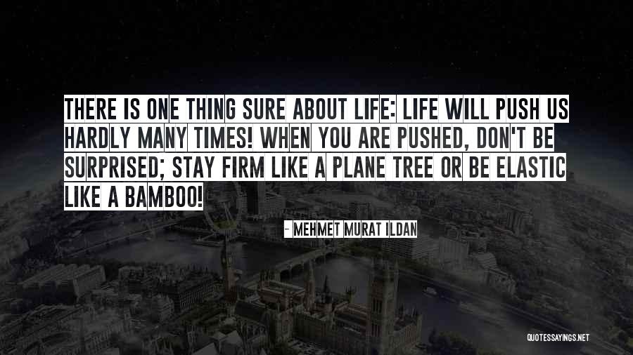 Life Like A Tree Quotes By Mehmet Murat Ildan Life Like A Tree Quotes By Mehmet Murat Ildan