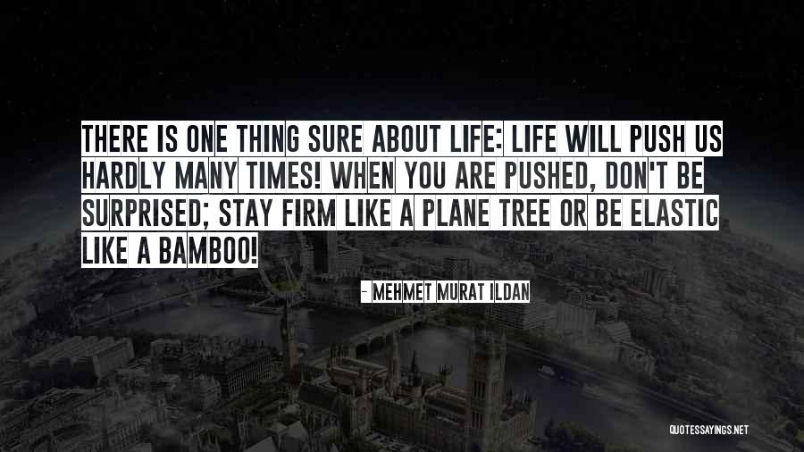 Life Like A Tree Quotes By Mehmet Murat Ildan