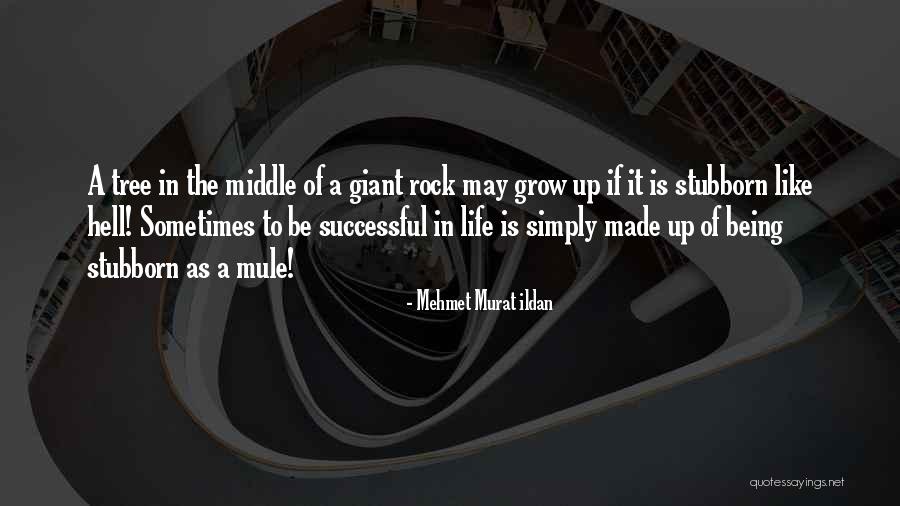 Life Like A Tree Quotes By Mehmet Murat Ildan Life Like A Tree Quotes By Mehmet Murat Ildan