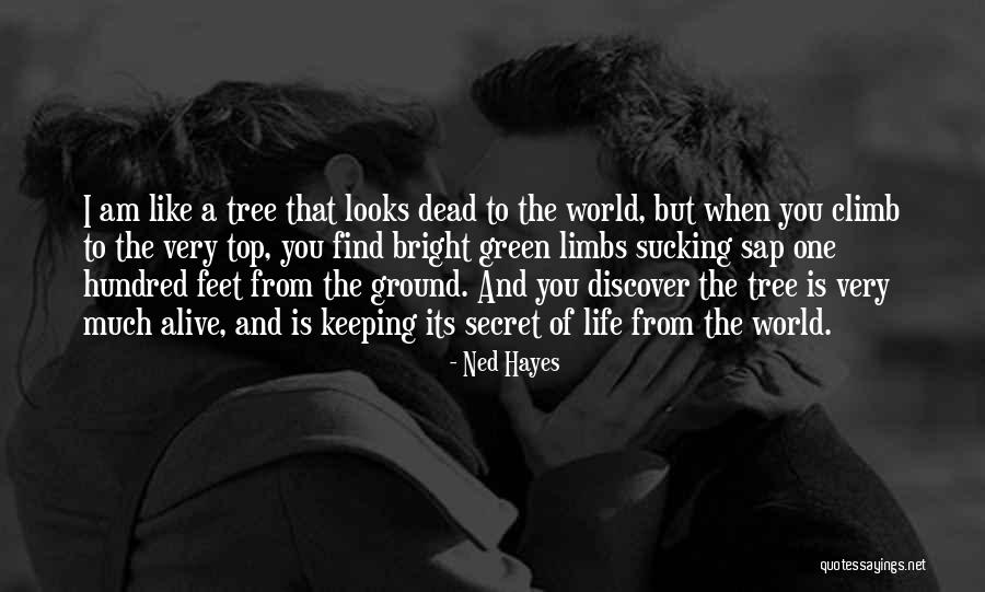 Life Like A Tree Quotes By Ned Hayes