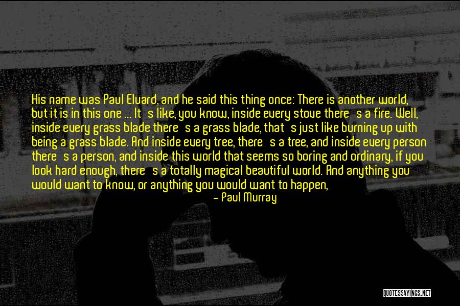Life Like A Tree Quotes By Paul Murray Life Like A Tree Quotes By Paul Murray