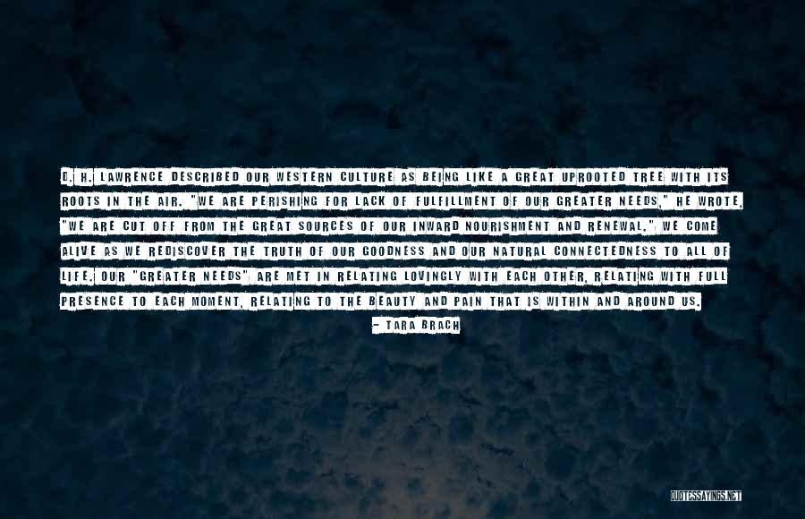 Life Like A Tree Quotes By Tara Brach Life Like A Tree Quotes By Tara Brach