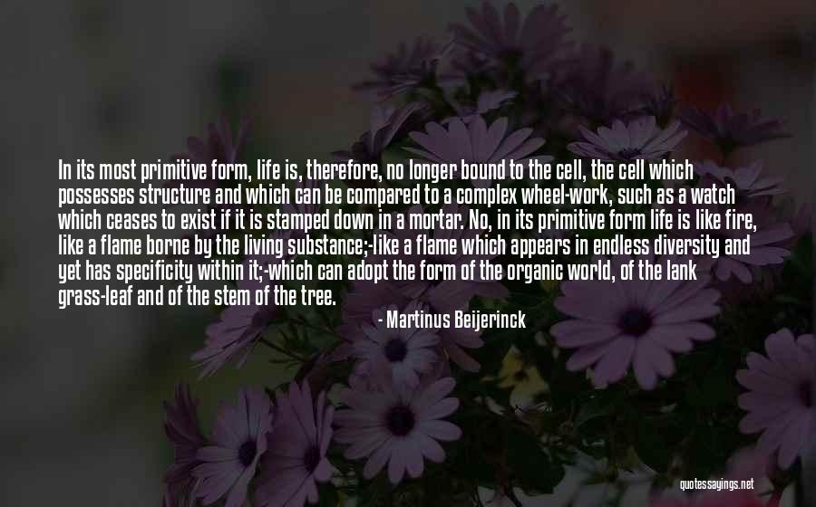 Life Like A Wheel Quotes By Martinus Beijerinck Life Like A Wheel Quotes By Martinus Beijerinck