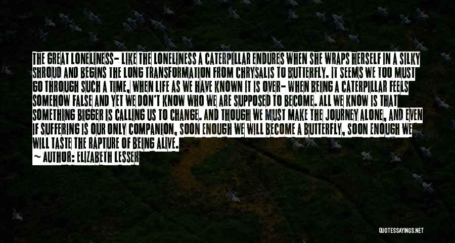 Life Like Butterfly Quotes By Elizabeth Lesser